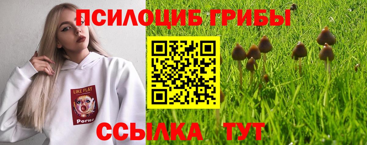 Киреевск  Галлюциногенные грибы ЛСД  Вход с VPN  Псилоцибиновые грибы мухоморы 